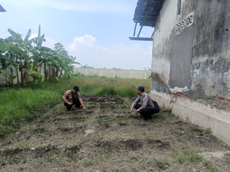 Maksimalkan Pengelolahan Pekarangan Bergizi SDN I Kedung Sugo