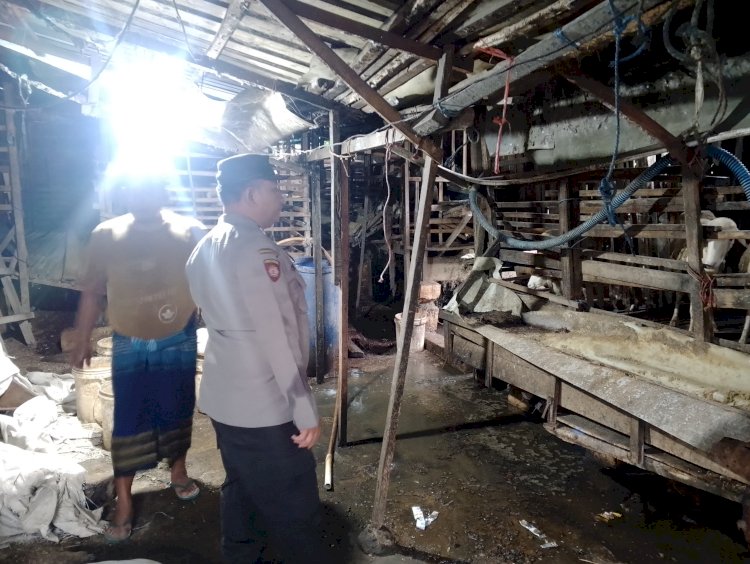 Bhabinkamtibmas Sepande Cek Peternakan Kambing Dukung Ketahanan Pangan Polresta Sidoarjo
