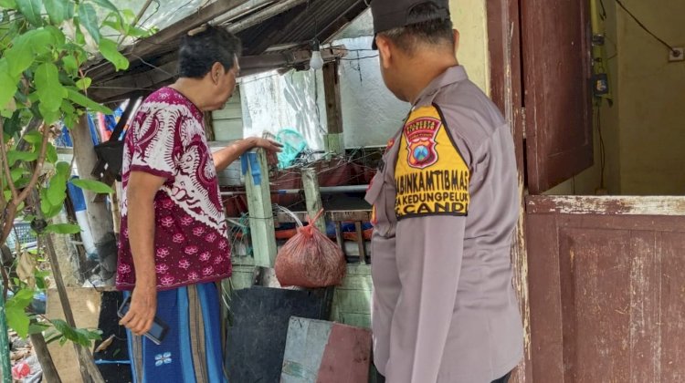 Warga Kedung Peluk Budidaya Ikan Lele Wujudkan Swasembada Pangan Mandiri