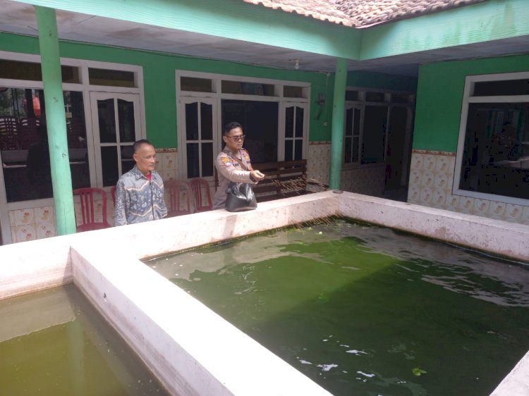 Kanit Binmas Polsek Krembung dan Kades Lemujut Tinjau Budidaya Ikan Gurami dan Lele di Lahan Bumdes