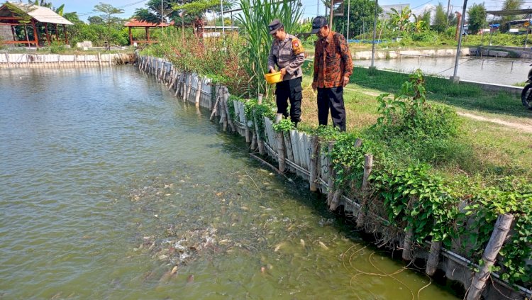 Bhabinkamtibmas Desa Tropodo Tinjau Kolam Ikan Bumdes Dukung Ketahanan Pangan