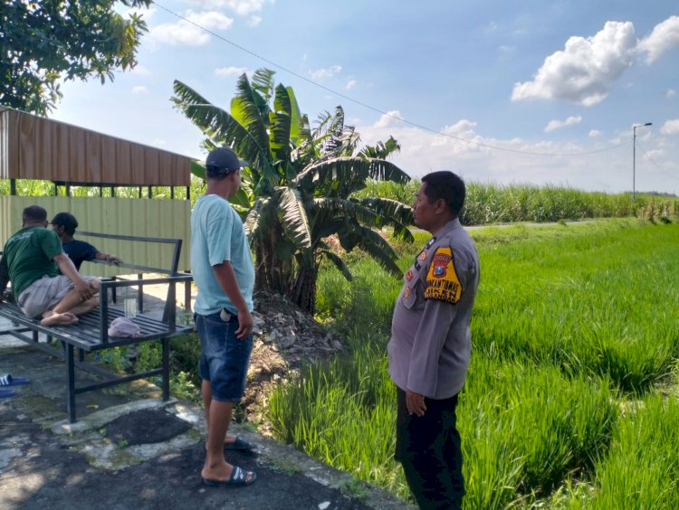 Peningkatan Swasembada Pangan, Polisi Turun ke Sawah Dukung Ketahanan Sayur-Mayur