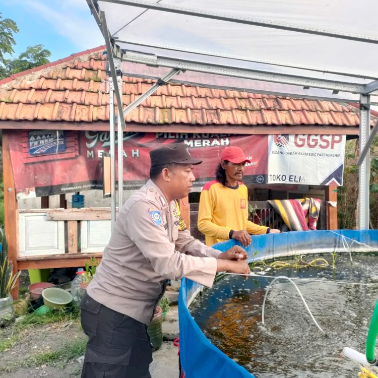POLRESTA SIDOARJO | Polisi dan Petani di Sedati Wujudkan Ketahanan Pangan Lewat Budidaya Ikan Lele