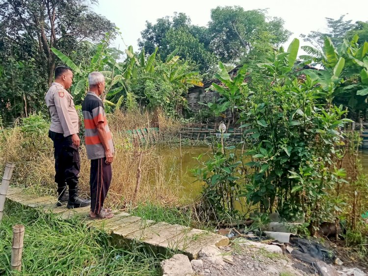 Cegah Krisis Pangan, Bhabinkamtibmas Desa Kalipecabean Cek Ketahanan Pangan Program P2B