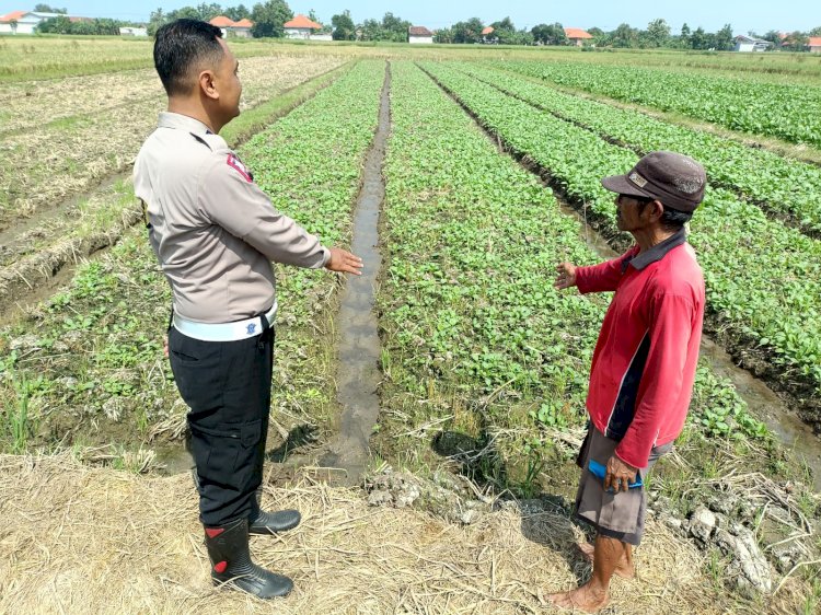 Bhabinkamtibmas Desa Wonokupang Polsek Balongbendo Cek Lahan Ketahanan Pangan