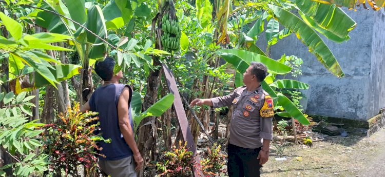 Polsek Tanggulangin Dukung Ketahanan Pangan Tingkat Desa Lewat Peran Aktif Bhabinkamtibmas