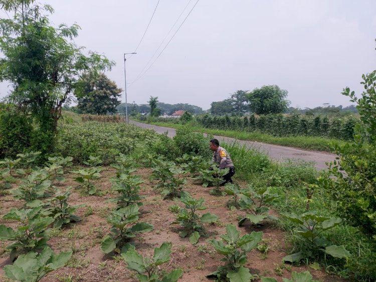 Bhabinkamtibmas Kenongo Cek Lahan Ketahanan Pangan Peternakan Unggas Dukung Program Asta Cita Presiden