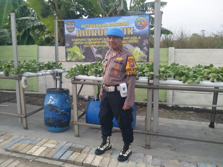 Warga Sidorejo Kembangkan Sayur Hidroponik, Dapat Pendampingan Program Ketahanan Pangan dari Polsek Krian