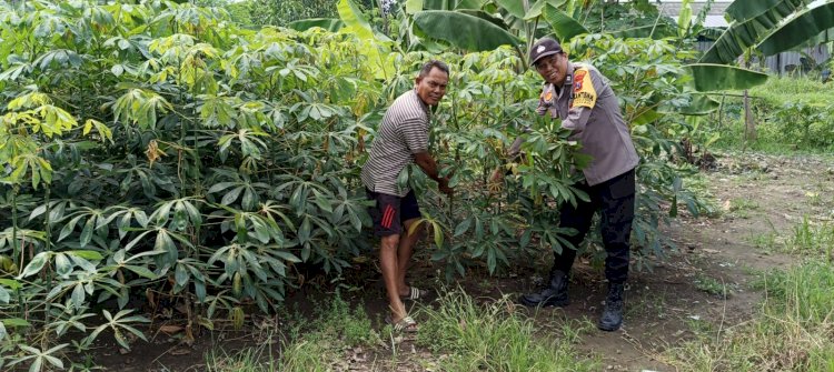 Kapolsek Taman Dorong Ketahanan Pangan Lewat Pemberdayaan Lahan Kosong untuk Aneka Tanaman