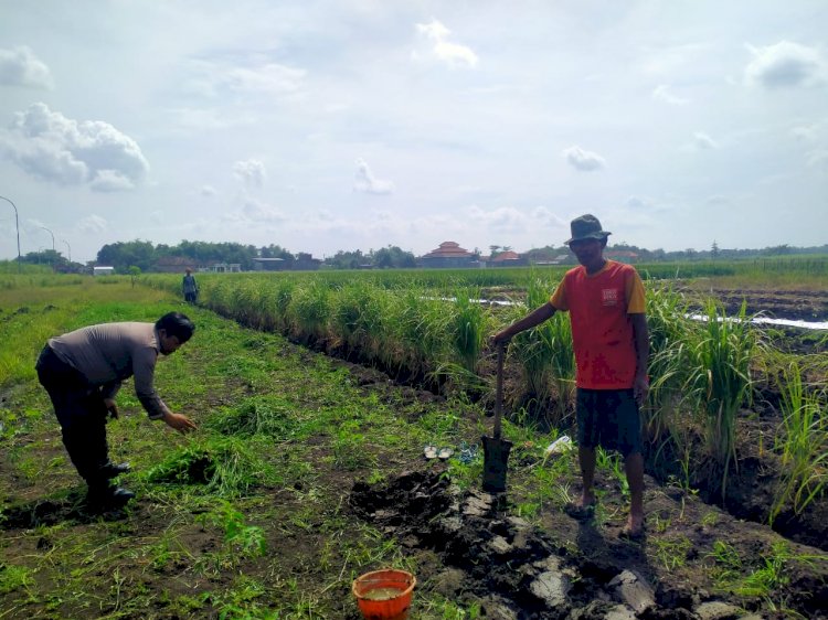 Kanit Binmas Polsek Prambon Tinjau Lahan P2B di Desa Jatikalang