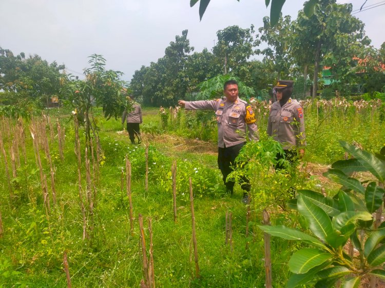 Polresta Sidoarjo Lakukan Monitoring Program Ketahanan Pangan di Dua Lahan Wilayah Kecamatan Porong
