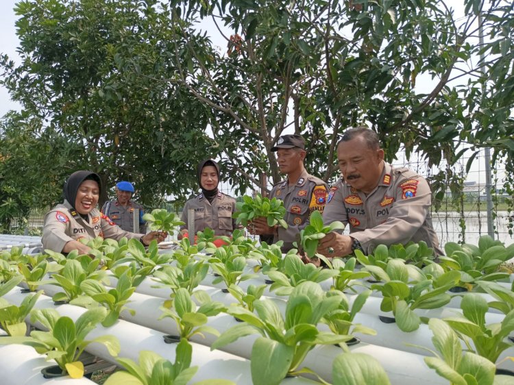 Polresta Sidoarjo Monitoring Desa Percontohan Ketahanan Pangan di Ponokawan Krian