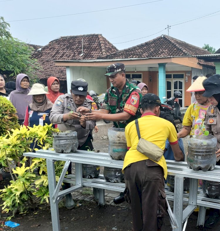 Sinergitas Bhabinkamtibmas dan Babinsa Tambak Kalisogo, Ajak Warga Aktif Menanam di Pekarangan Rumah Perkuat Ketahanan Pangan Pedesaan