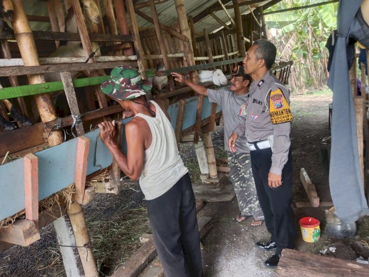 Bhabinkamtibmas Ngobrol Ketahanan Pangan Bareng Peternak Kambing Sidokerto