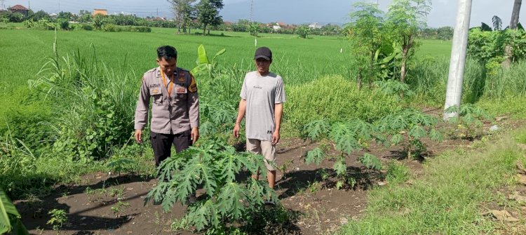 Polri Cinta Petani, Kapolsek Jabon Optimalkan Peran Bhabinkamtibmas Dukung Ketahanan Pangan Tingkat Desa