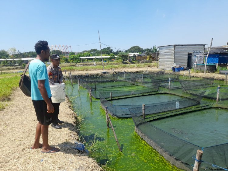 Humanis, Bhabinkamtibmas Trosobo Penggerak Ketahanan Pangan Bantu Beri Pakan Ikan Lele