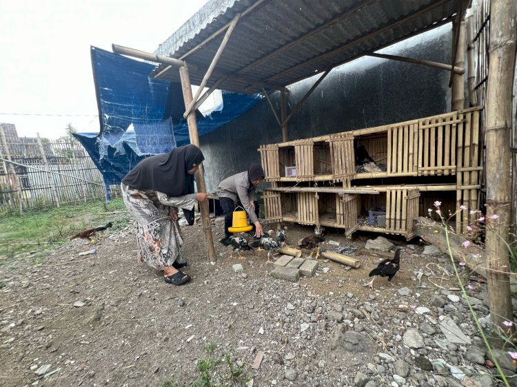 Dukung Ketahanan Pangan, Bhabinkamtibmas Desa Mojorangagung Dukung Warga Tingkatkan Hasil Ternak Ayam