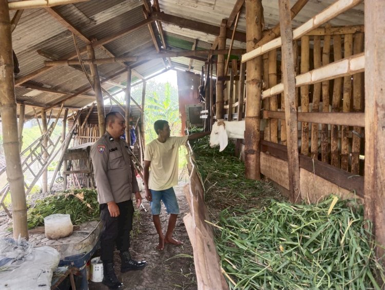Cegah Penyakit Ternak Sukseskan Ketahanan Pangan, Bhabinkamtibmas Sidokepung Aktif Pantau Kesehatan Kambing Warga