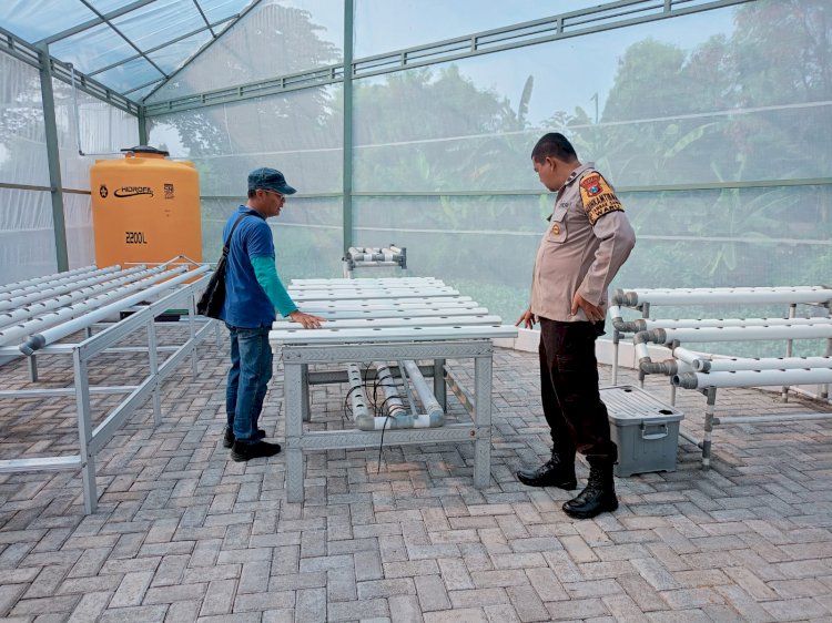 Bhabinkamtibmas Polsek Waru Edukasi Ketahanan Pangan ke Petani Pemanfaatan Pekarangan Tidur Jadi Kebun Hidroponik