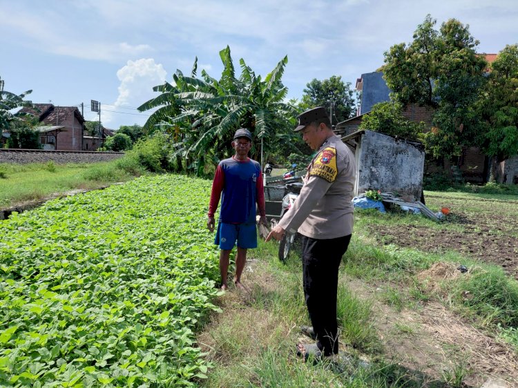 Motivasi Ketahanan Pangan, Polisi Cek Perkembangan Lahan Sayur di Desa Pangkemiri