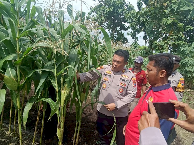 Polisi Cinta Petani, Turun Langsung Cek Lahan Ketahanan Pangan