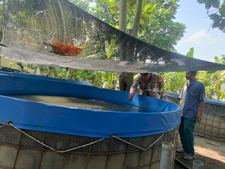 Polsek Wonoayu Tinjau Progres Lahan Ketahanan Pangan Bergizi