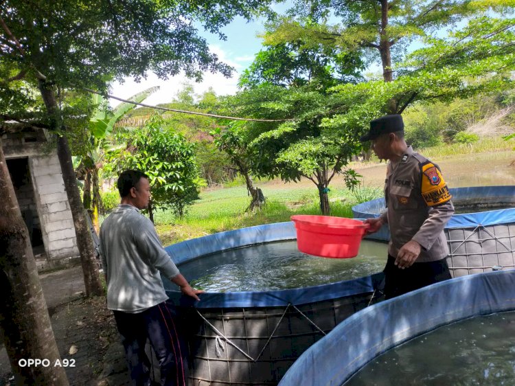 Polsek Taman Dampingi Warga Budidaya Ikan Lele untuk Dukung Ketahanan Pangan Desa