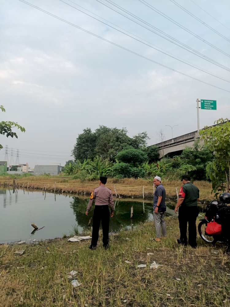 Manfaatkan Lahan Kosong, Warga Sepanjang Sidoarjo Kelola Kolam Ikan Gurami Dukung Ketahanan Pangan
