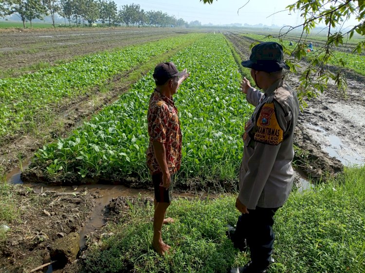 Bhabinkamtibmas Jeruklegi Dorong Produktivitas Lahan