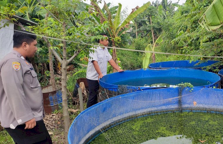 Bhabinkamtibmas Sidodadi Dampingi Budidaya Lele untuk Ketahanan Pangan