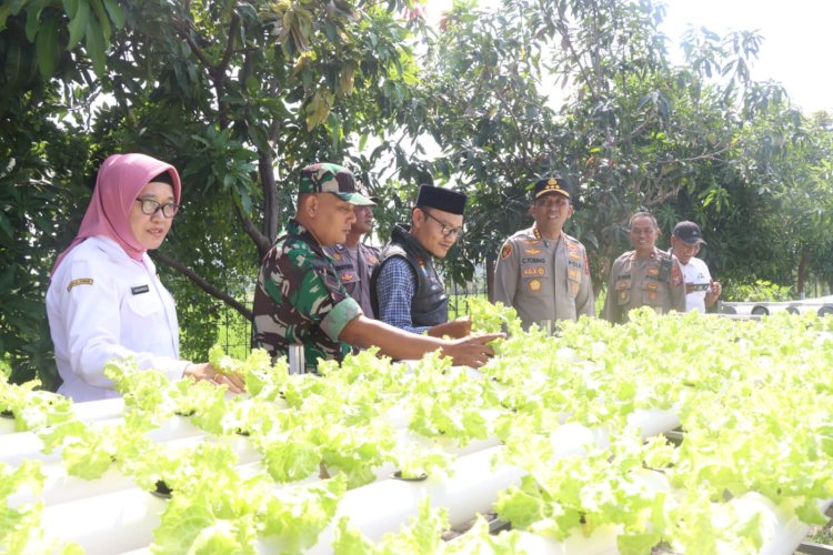 Kapolresta Sidoarjo Apresiasi Budidaya Pakcoy Hidroponik untuk Swasembada Pangan