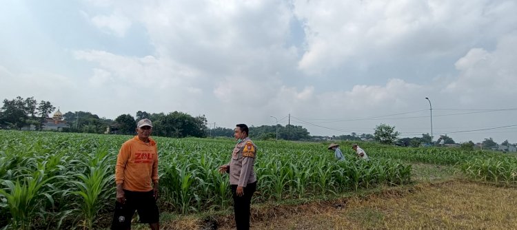 Implementasi Ketahanan Pangan, Polsek Tarik Gencarkan Sambang Desa