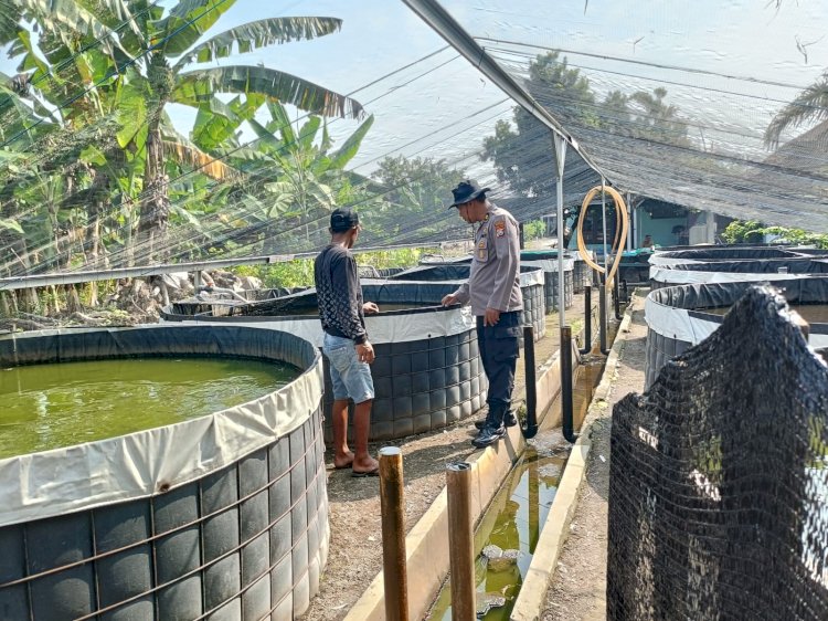Polsek Porong Dampingi Budidaya Lele di Desa Kebonagung Sidoarjo untuk Perkuat Ketahanan Pangan