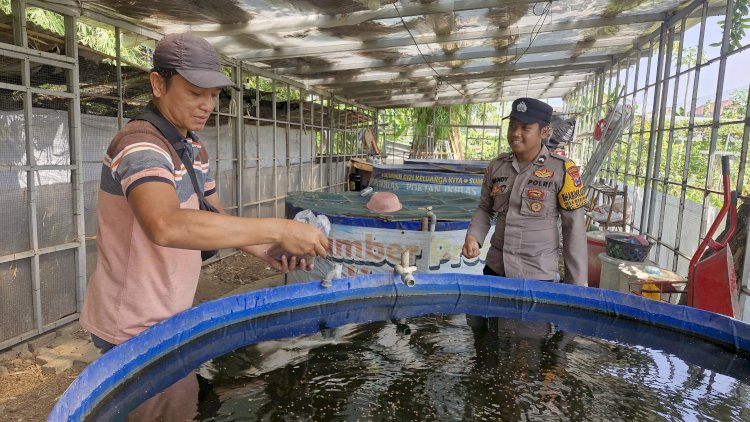 Bhabinkamtibmas Desa Kebonagung Polsek Sukodono, Cek Perkembangan Budidaya Ikan Lele Warga di Lahan Kosong