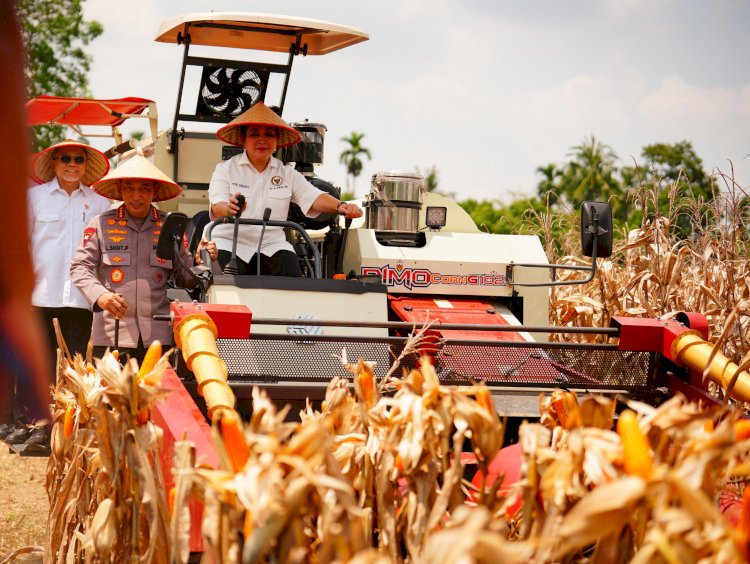 Panen Raya Kuartal III Polri Hasilkan 751 Ribu Ton Jagung, Bukti Nyata Dukung Swasembada Pangan