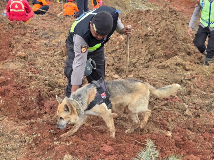 Polri Kerahkan Anjing Pelacak dalam Pencarian Korban Longsor Cilacap