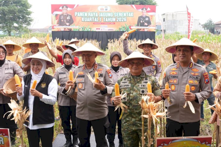 Polda Jatim Gelar Panen Raya Jagung Kuartal I 2026 di Sidoarjo