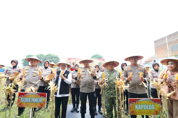 Polda Jatim Gelar Panen Raya Jagung Serentak Kuartal IV di Sidoarjo