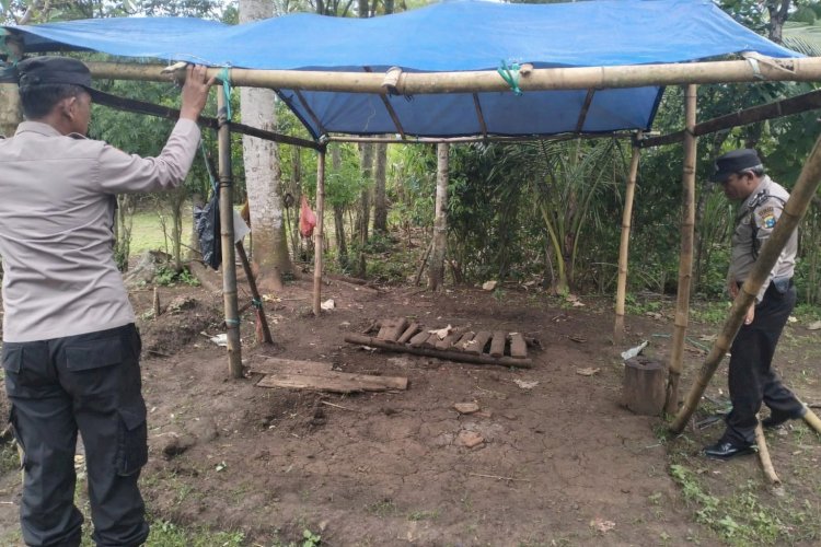 Polres Malang Kembali Bongkar Area Sabung Ayam di Kalipare