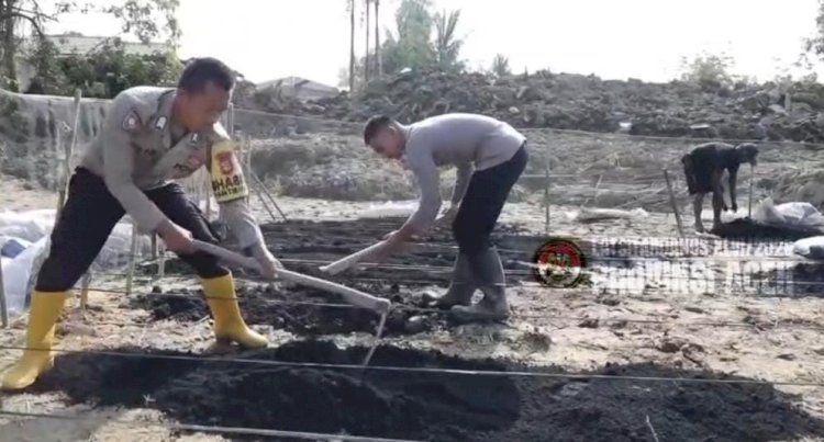 Taruna Akpol Pulihkan Ketahanan Pangan dan UMKM Warga Aceh Tamiang Lewat Pekarangan Pangan Lestari