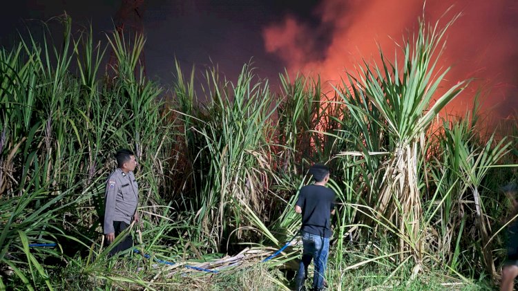 Polisi Bersama Masyarakat Padamkan Karhutla di Lahan Tebu Desa Popoh